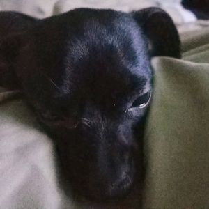 Meet your Posher, Nora